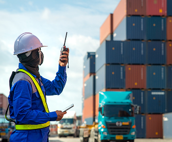 Déclaration douanière : Customs